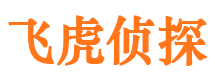 海城市婚姻调查